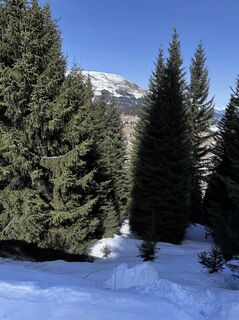 Fotografija s spletne strani Gábor Steffer na poti