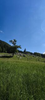Fotografie z Hakuna Matata na trase