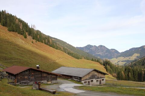 Greitalpe Niederleger