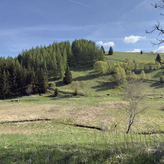 Photo de Steffen Kiesel le long du parcours