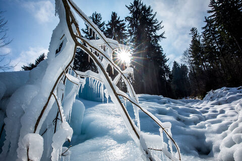Stimmungsvolle Winterlandschaft