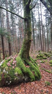 Foto von Enkidu55 entlang der Tour