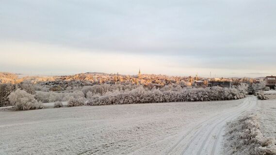 Zemljevid