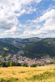 Aussicht vom Hasenhorn auf Todtnau