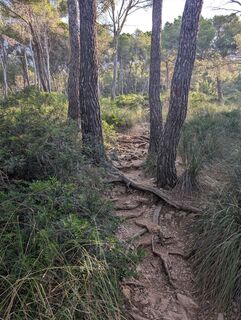 Photo de michael arnold 3 le long du parcours