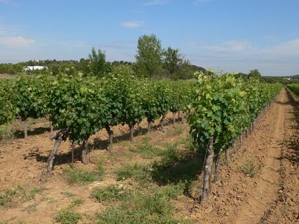 Wanderung der Fontanaride0021 @CDRP34