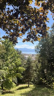 Fotografija s spletne strani Ines Mastouri na poti