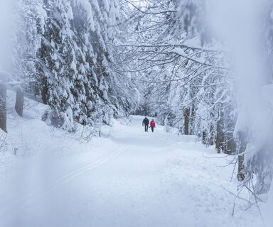 Winterwanderweg