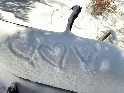 Zdjęcie z Natur_erleben_dg wzdłuż trasy