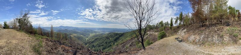 Photo de firebird 93 le long du parcours
