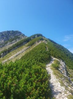 Foto von Mustafa Idrizović entlang der Tour