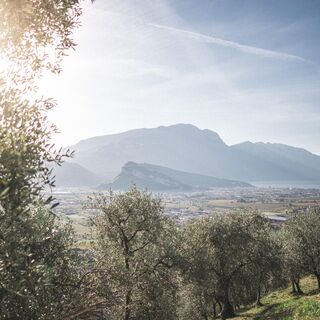 Blick von der Olivaia in Arco