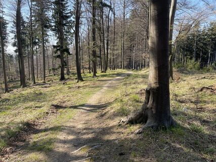 Foto von Hannes Gangl entlang der Tour