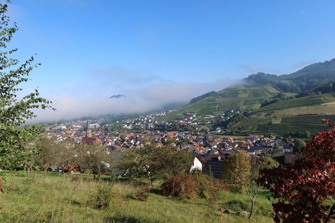 Foto von Christiane Schütz entlang der Tour