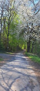 Photo de Sandra Schmidt le long du parcours