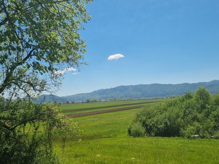 Foto de Grizli a lo largo del recorrido