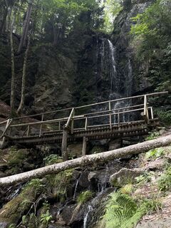 Foto von Alex Stevels entlang der Tour