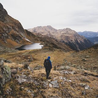 Alp Guessee