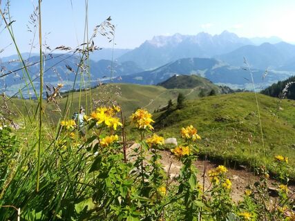 2018 Fieberbrunner Höhenweg © Petra Astner (2).jpg