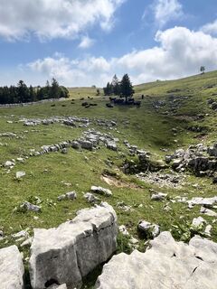 Foto da Lillo Condello lungo il tour