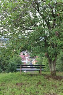 Sitzbank mit Blick auf Michelbach _koe