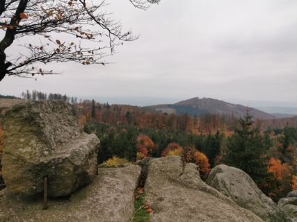 Foto da Marco Schütz lungo il tour