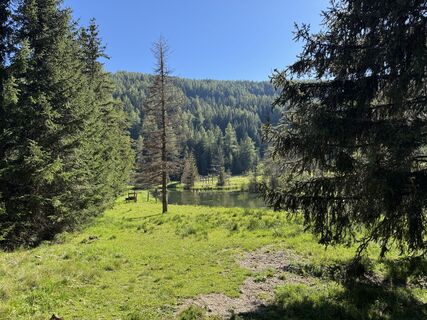 Foto von Ingeborg Steindl entlang der Tour