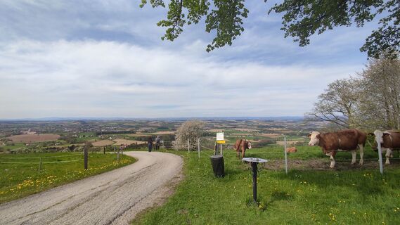 Foto de WilliSt a lo largo del recorrido