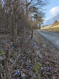 Fotografie z Martin Glaser na trase