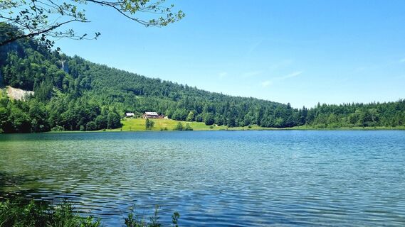 Foto van Veronika Strauss langs de tour