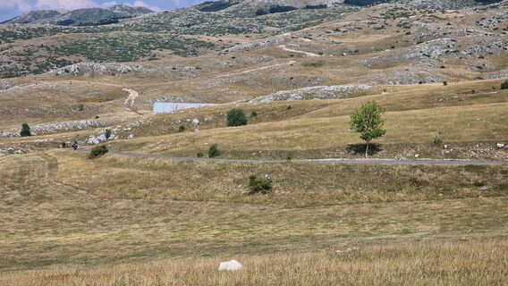 Foto von Joe Pasi entlang der Tour