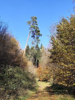 Photo de Klaus-Maus le long du parcours