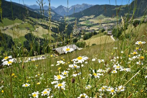 Blick Alpbachtal