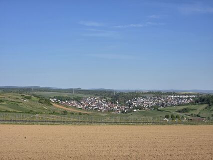 Foto von Timon Bertignoll entlang der Tour