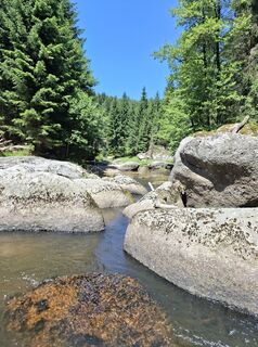 Fotografia z Bergfex User na trase