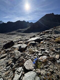 Foto von Pamer Anna82 entlang der Tour