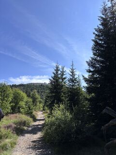 Foto von Johannes Schäufl entlang der Tour