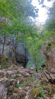 Photo de Karin Svozil le long du parcours