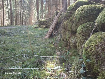 Fotografia z Muehl Erich na trase