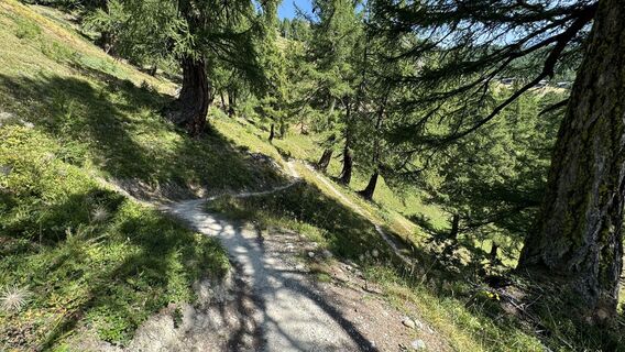 Photo de peter_oe le long du parcours