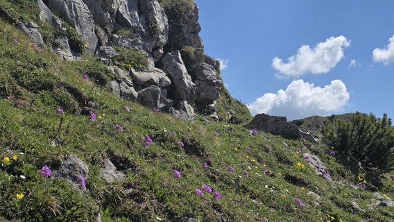 Fotografie z euterpe42 na trase
