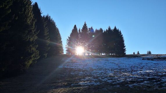 Photo de Regina Fleischmann le long du parcours