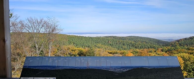 Fotografie z Tanjasusanna na trase