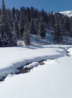 Photo de brimo le long du parcours