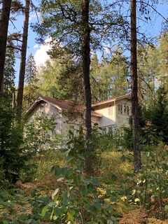 Parkinmäen Naturpfad
