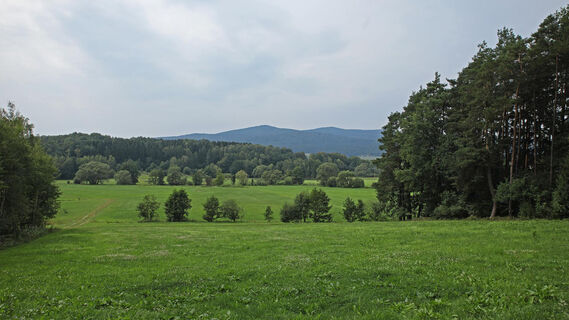Blick auf den Further Hausberg Gibacht
