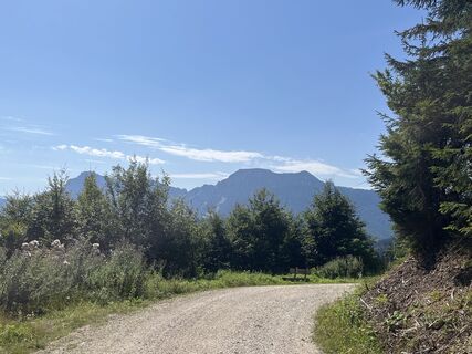 Teisendorf_Stoisseralm+Inzeller Höhe