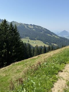 Foto von Michael Müller 62 entlang der Tour
