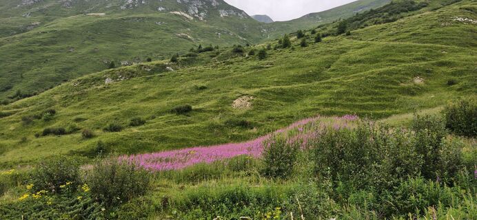 Foto de Nicoletta Carminati a lo largo del recorrido
