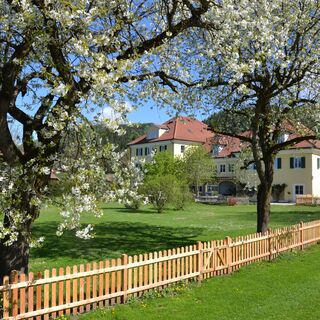 Dienstl Gut im Frühling